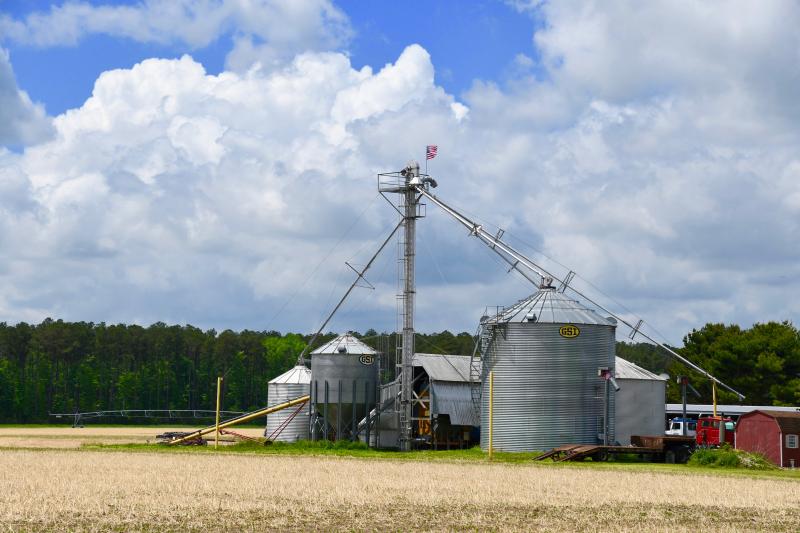 Once you get a few miles west of the beach resorts, the Sussex County landscape is dominated by farm fields. RON MACARTHUR PHOTO